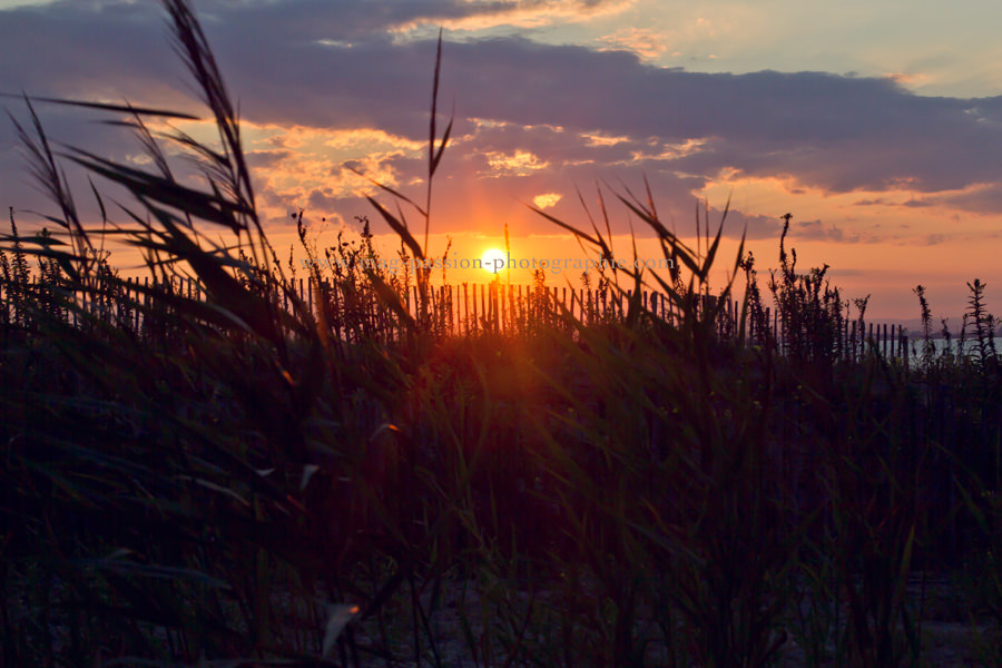 IMG_1893-as-Smart-Object-1